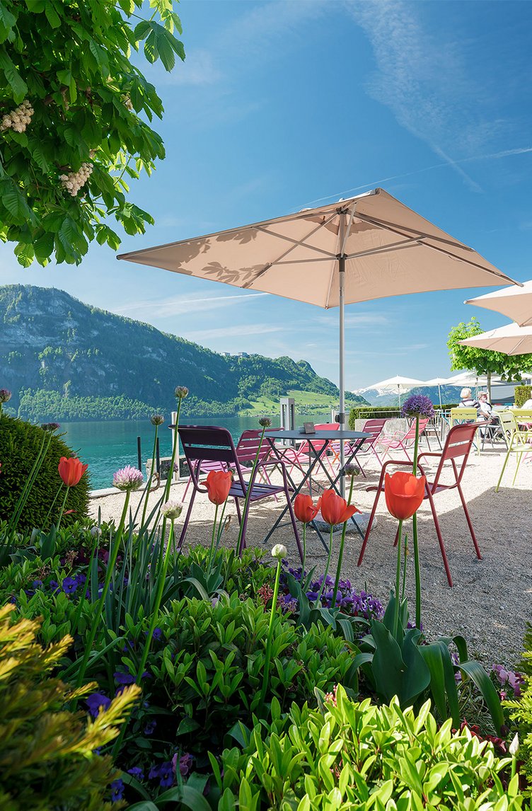 Café Vienna
